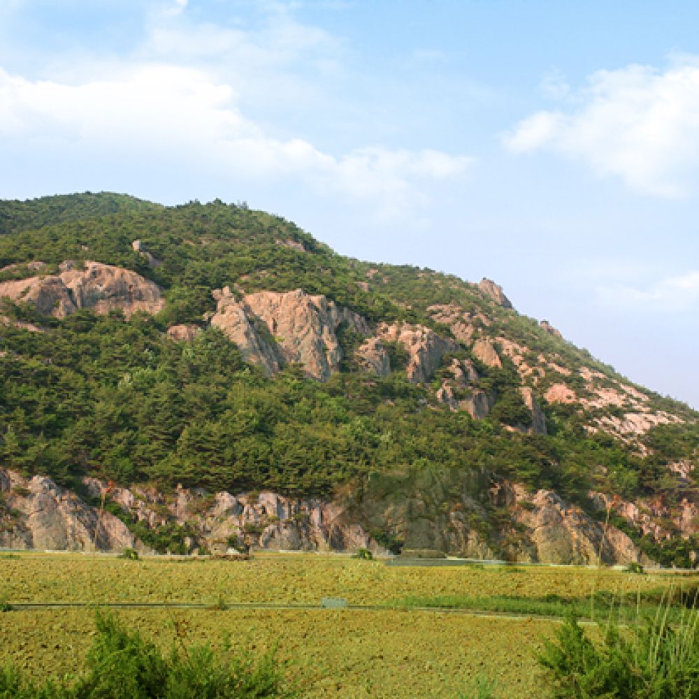 주간전경